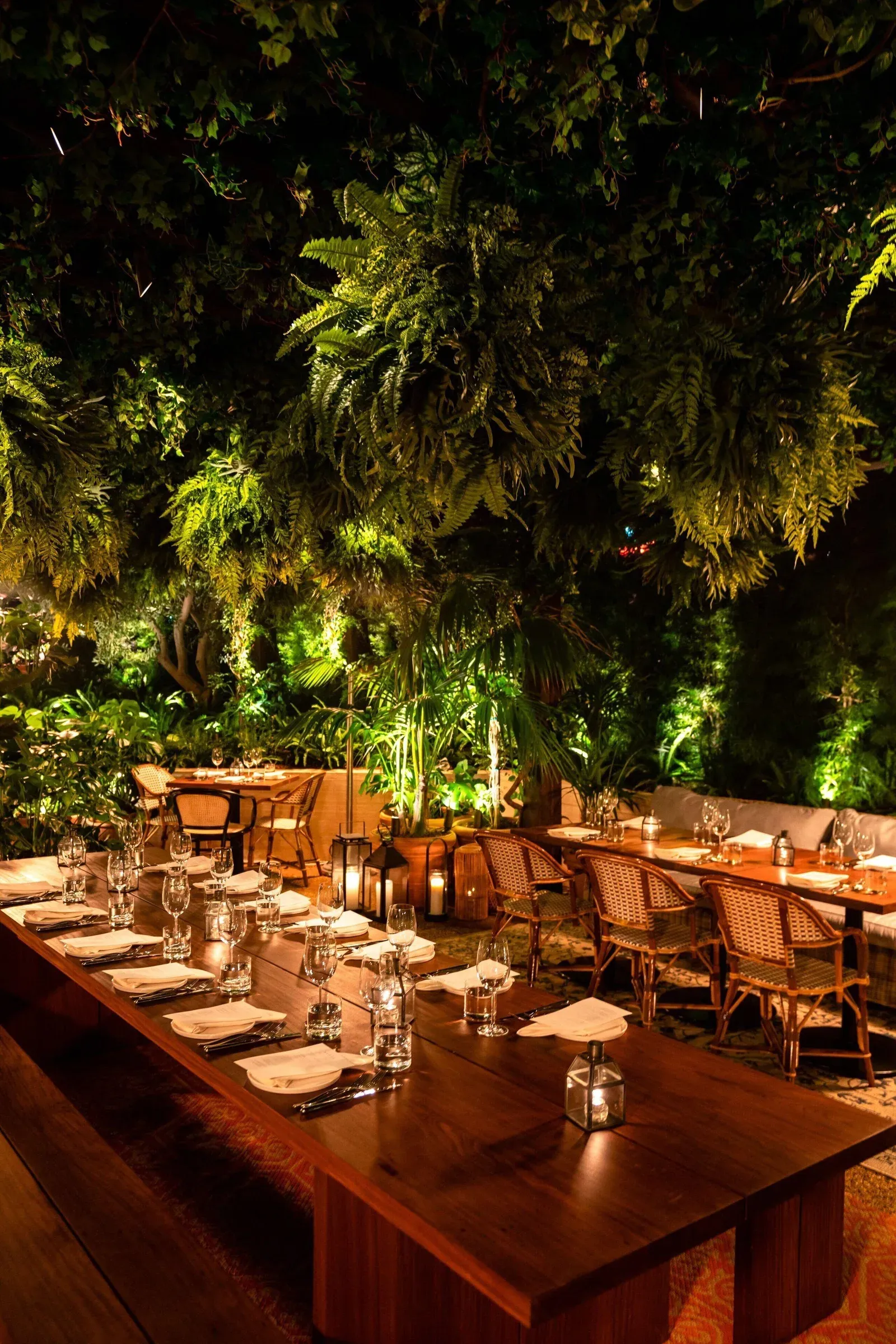 Dinner laid out under the rooftop's greenery